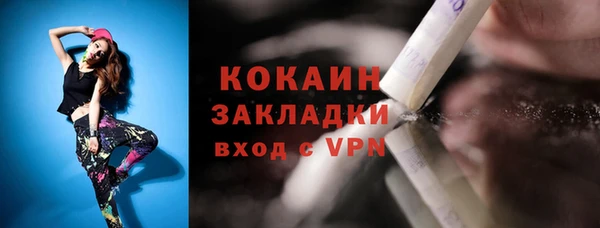 твердый Богородск