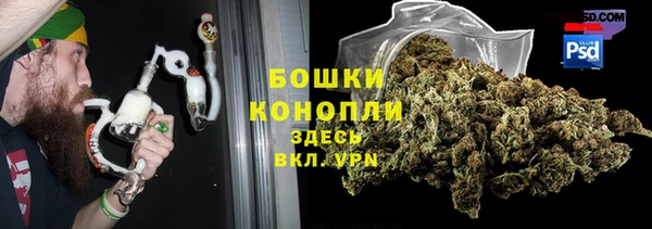 дживик Беломорск