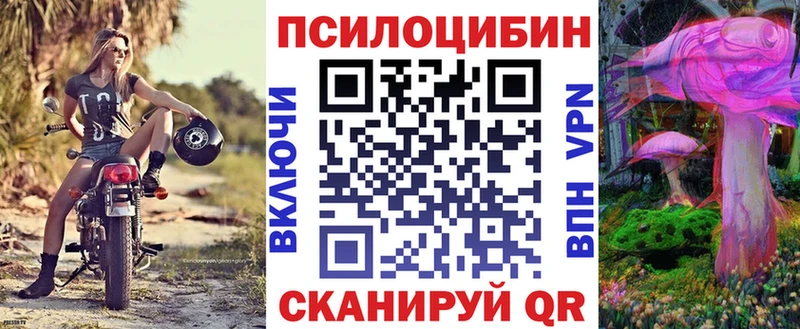blacksprut онион  Кувандык  Псилоцибиновые грибы Cubensis 